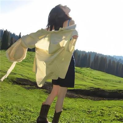 英雄虎胆